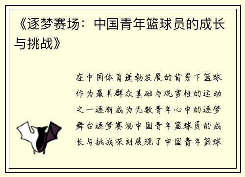 《逐梦赛场:中国青年篮球员的成长与挑战》 《逐梦赛场:中国青年篮球员的成长与挑战》